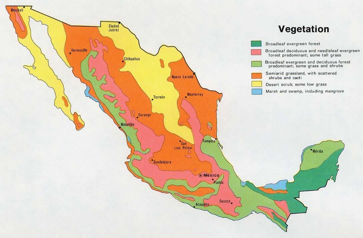 地图墨西哥的天然资源
